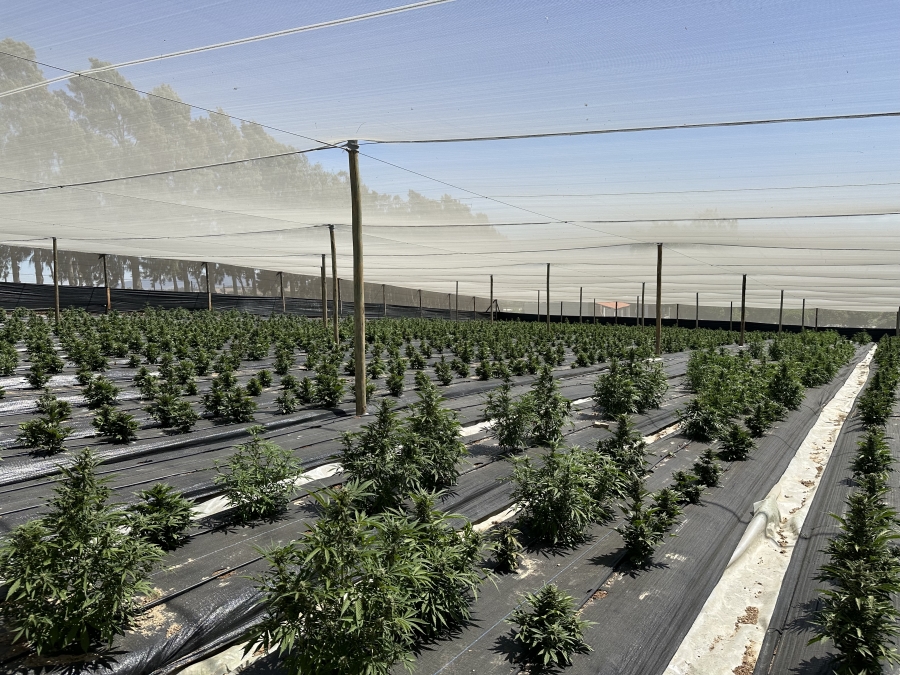 Commercial Property for Sale in Klapmuts Western Cape